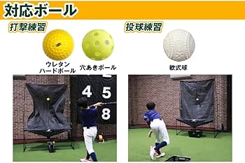 Amazon.co.jp: 〔フィールドフォース〕野球 ゲージ ネット メンズ